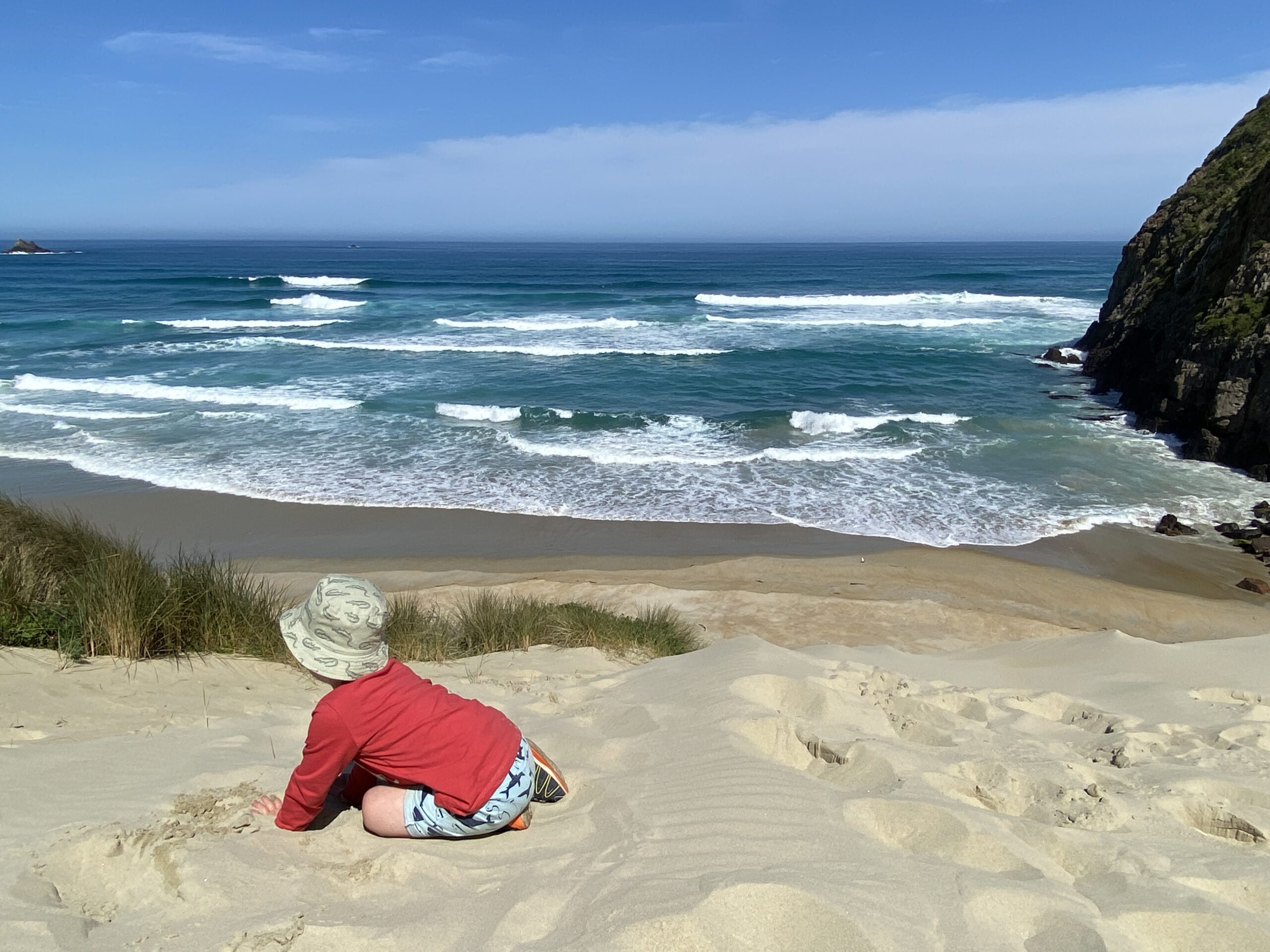 traveller at sandfly bay