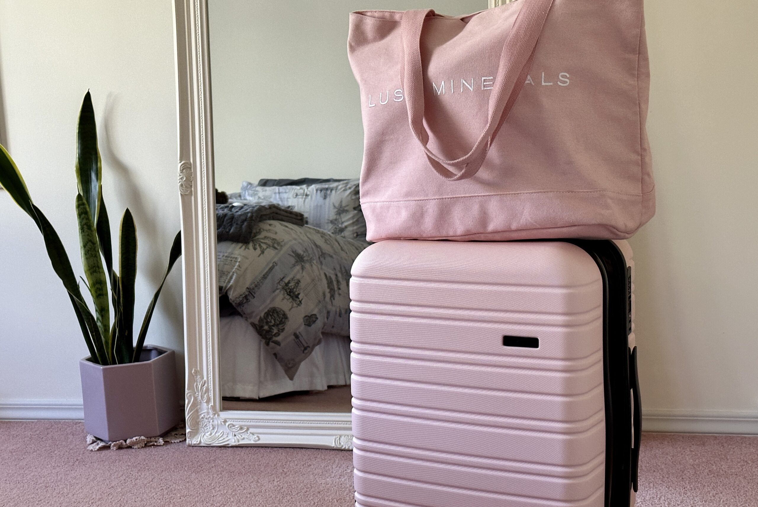 Pink suitcases in front of a mirror